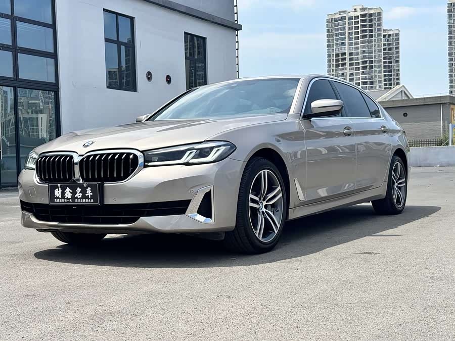 BMW 5 Series 2021 530Li Leading Luxury Package