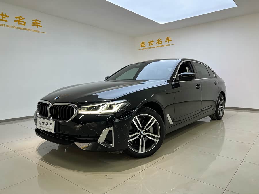 BMW 5 Series 2021 530Li Leading Luxury Package