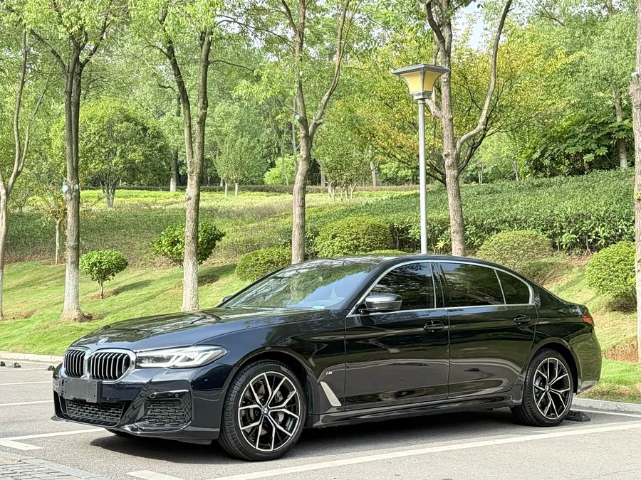 2021 BMW 5 Series 530Li Luxury M Sport Package