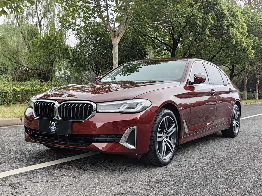 BMW 5 Series 2021 530Li Leading Luxury Package