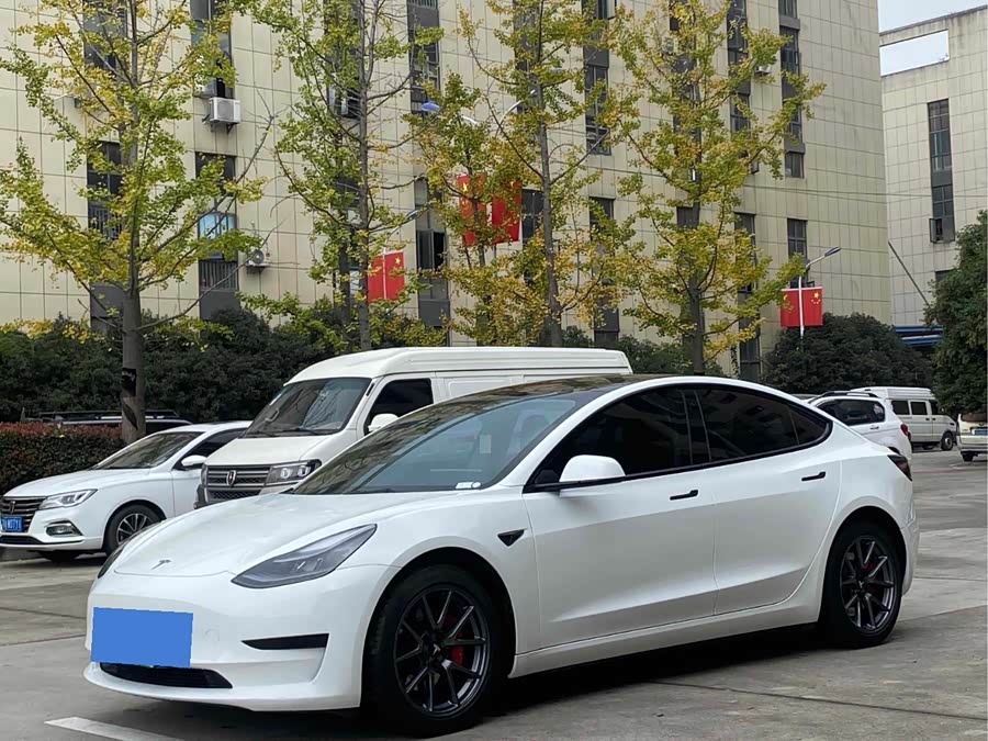 Model 3 2021 Facelift Standard Range Rear-Wheel Drive Upgrade Version 3D1