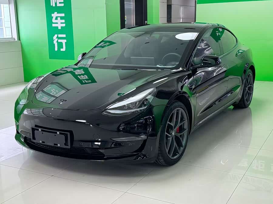 Model 3 2021 Performance All-Wheel Drive 3D6