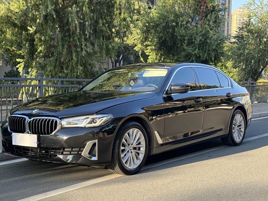 2021 BMW 5 Series 525Li Luxury Package
