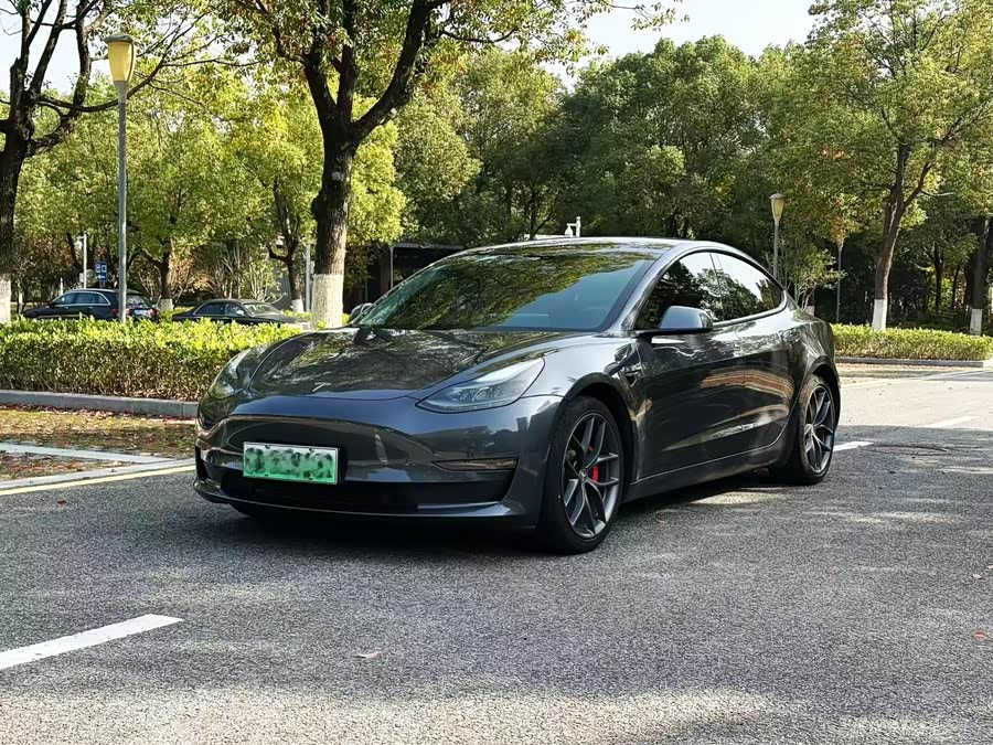Model 3 2021 Performance All-Wheel Drive