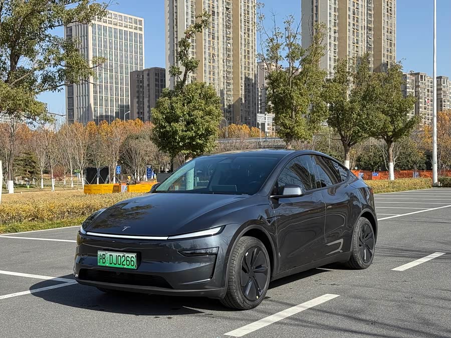 Model Y 2025 Long Range All-Wheel Drive