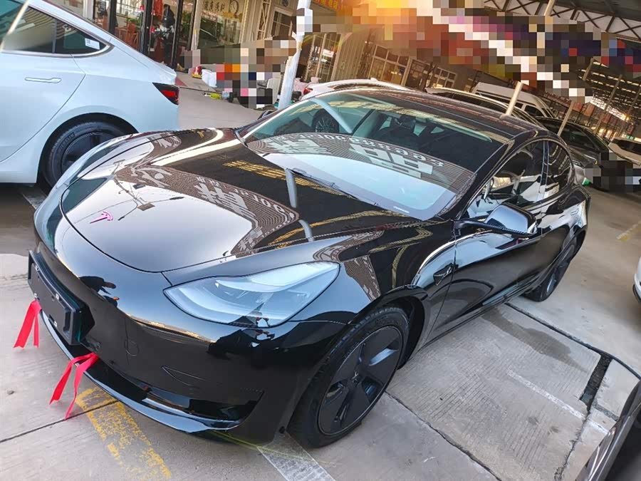 Model 3 2021 Standard Range Rear-Wheel Drive Upgrade 3D6