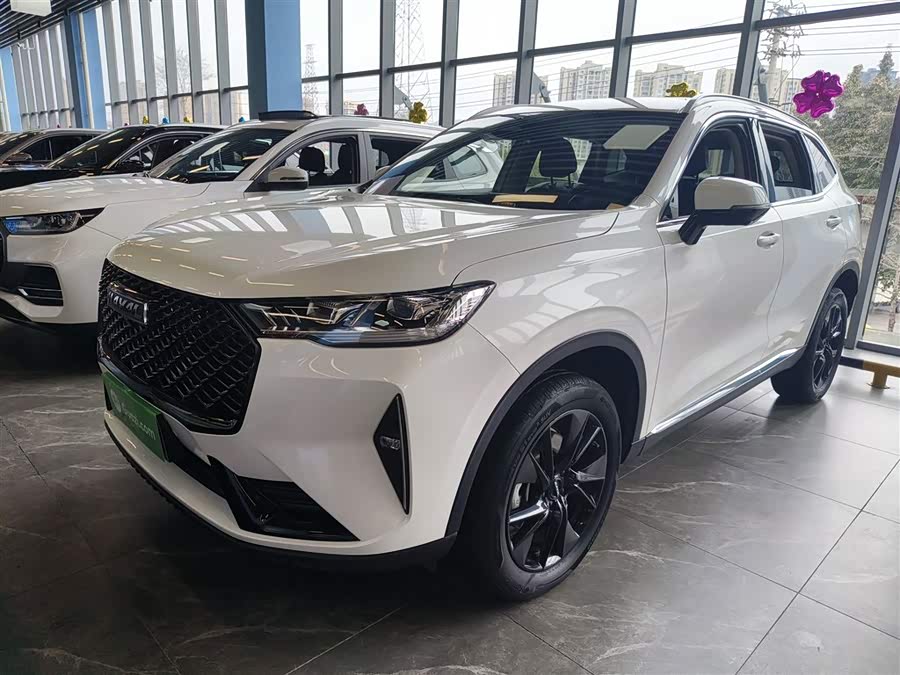 Haval H6 2021 Model, Third Generation, 2.0T Automatic Two-Wheel Drive Max