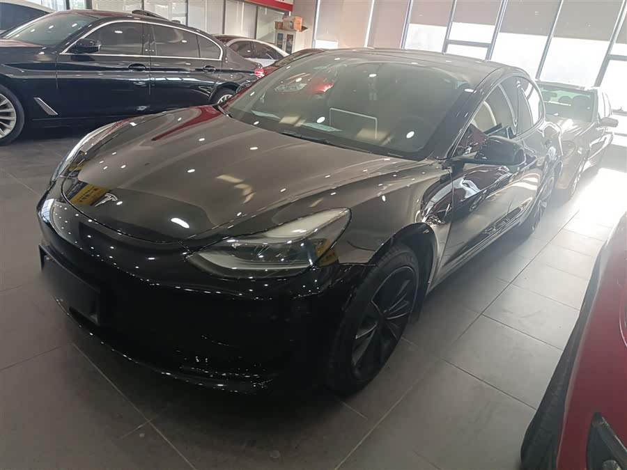 Model 3 2021 Facelift Standard Range Rear-Wheel Drive Upgrade Version 3D1