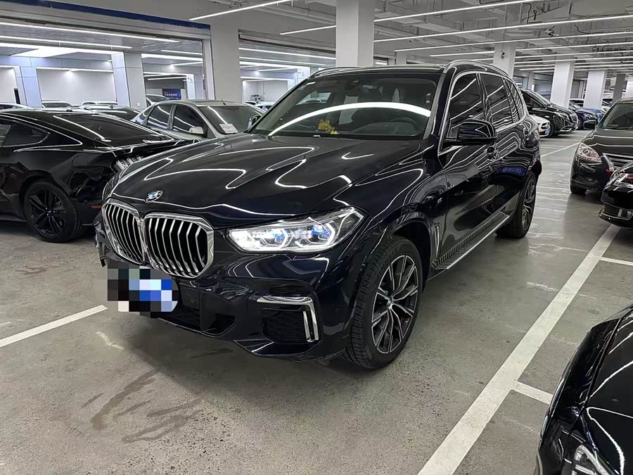 BMW X5 2022 xDrive 30Li M Sport Package
