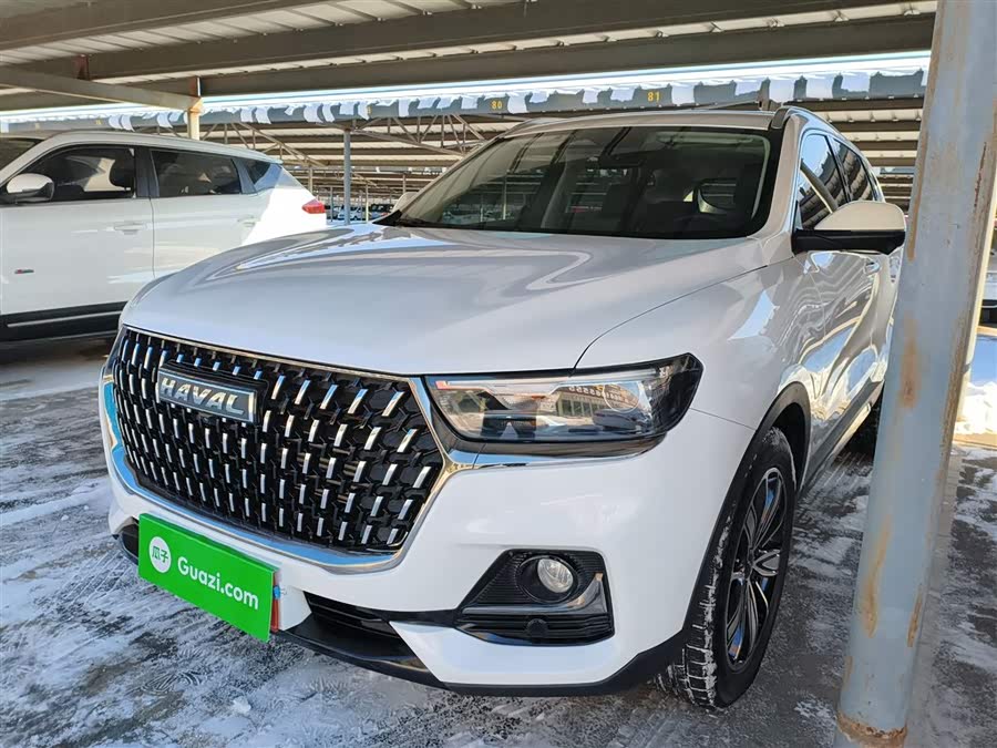 Haval H6 2023 National Trend Edition 1.5T Automatic Champion Edition
