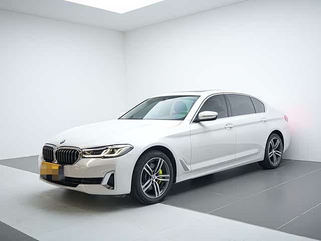 BMW 5 Series 2021 530Li Leading Luxury Package
