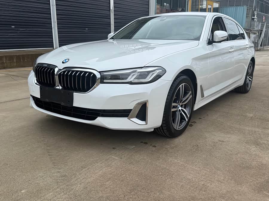 BMW 5 Series 2021 530Li Leading Luxury Package