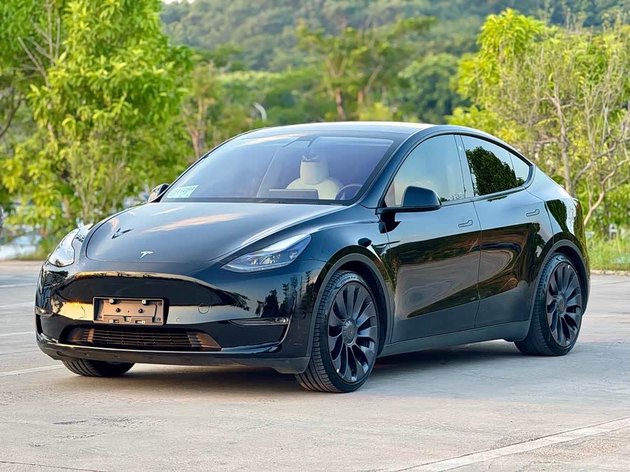 Model Y 2021 Performance All-Wheel Drive