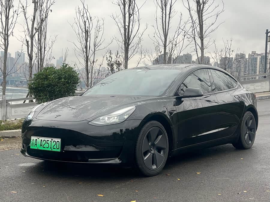 Model 3 2021 Standard Range Rear-Wheel Drive Upgrade