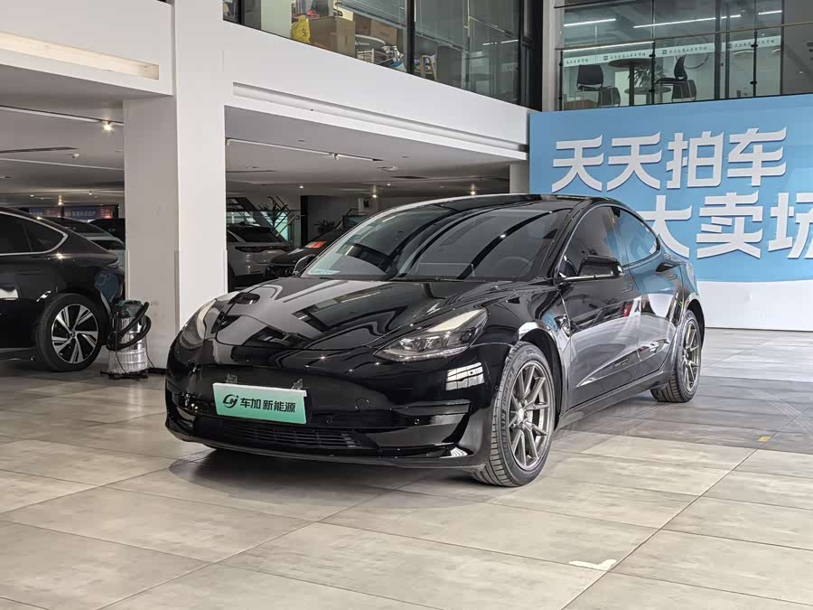 Model 3 2021 Facelift Standard Range Rear-Wheel Drive Upgrade Version 3D1