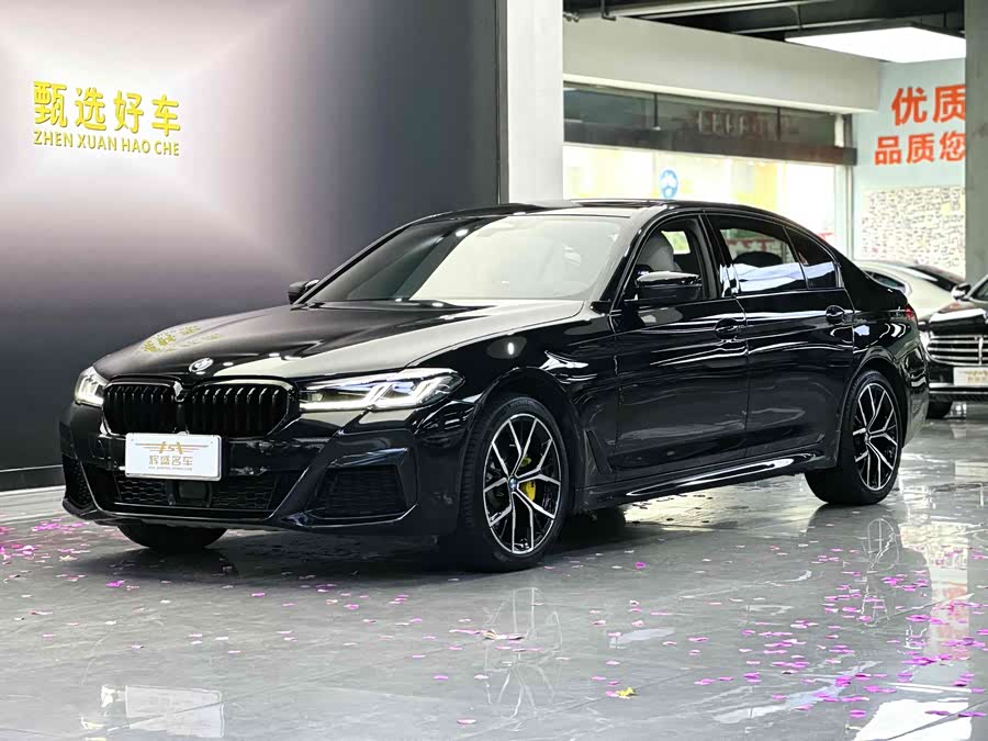 2021 BMW 5 Series 530Li Luxury M Sport Package