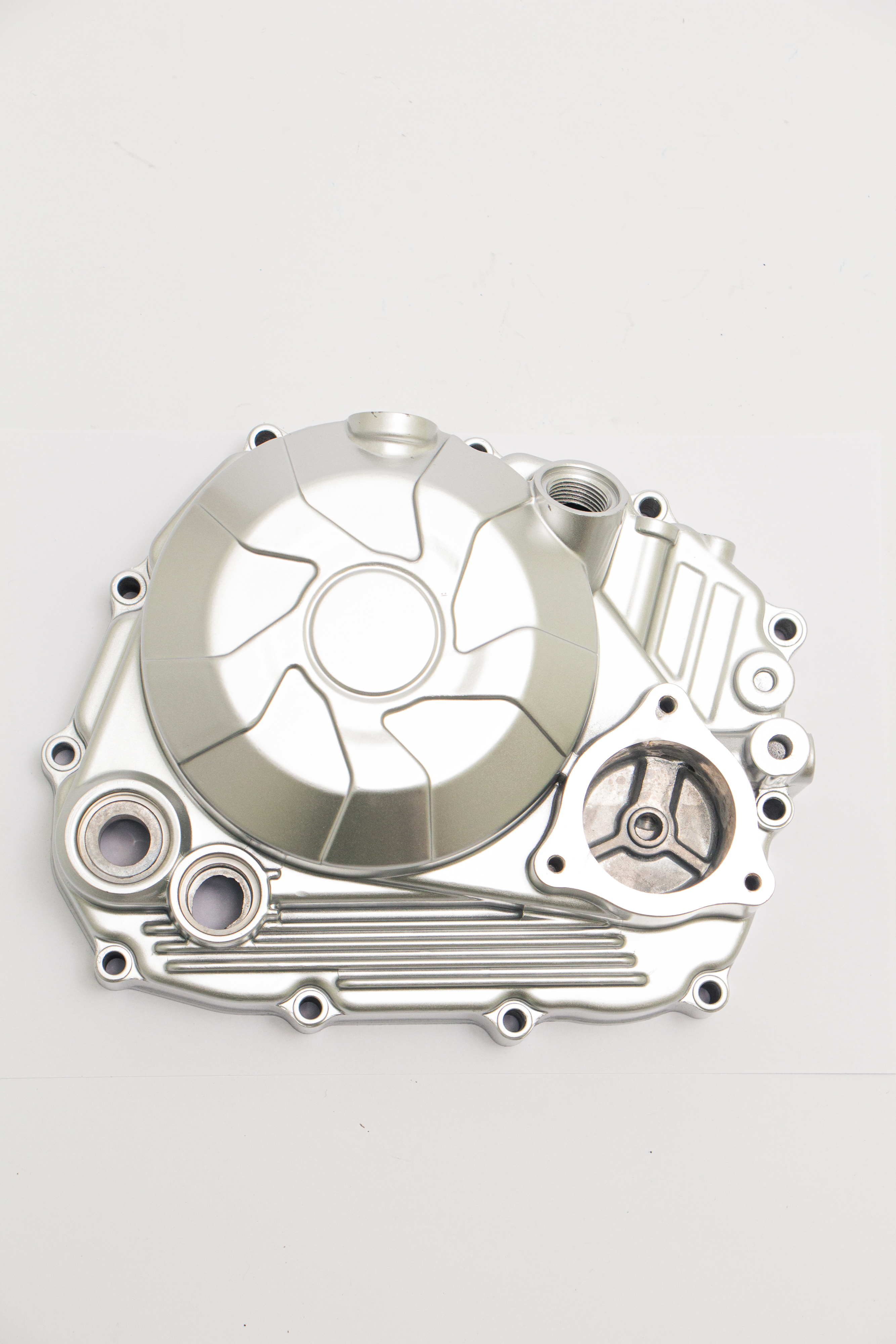 Изображение 166FMM253CH Крышка сцепления (RC250GY-C2K)