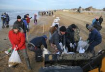 В ЛДПР раскрыли детали ситуации с очисткой побережья Кубани от гор мазута 156230d4-c24b-468e-bfa2-b67d182eee72-67be674e