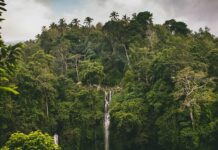 2863fe65-de4c-4648-8ec6-f330bd18a2b7-67bee0db