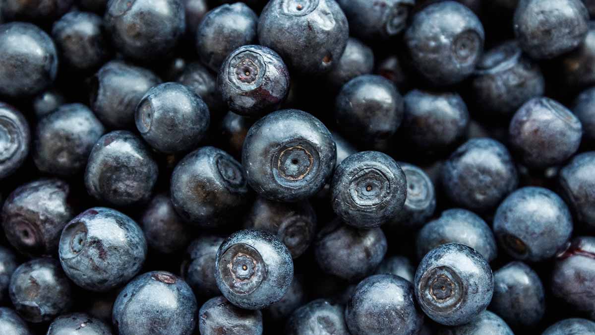 Чем полезна черника