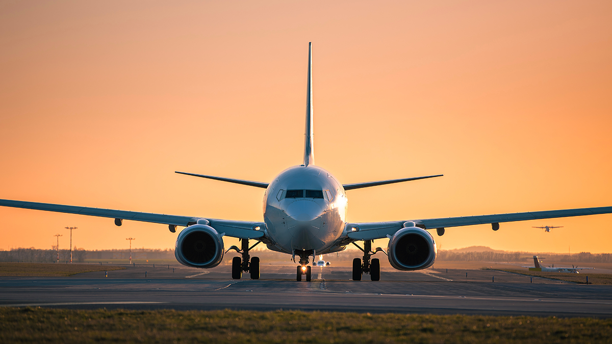 В отсеке шасси самолета авиакомпании JetBlue нашли два тела