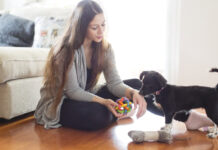 10d406ca-e82d-4136-ba27-03cba3548b70-68028379