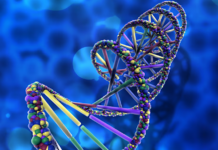 Прорыв в исследовании гена OFD1 открывает новые возможности в генетической диагностике 1a0853cd-463f-486c-a385-8aaba36a2cfb-67f3fa57