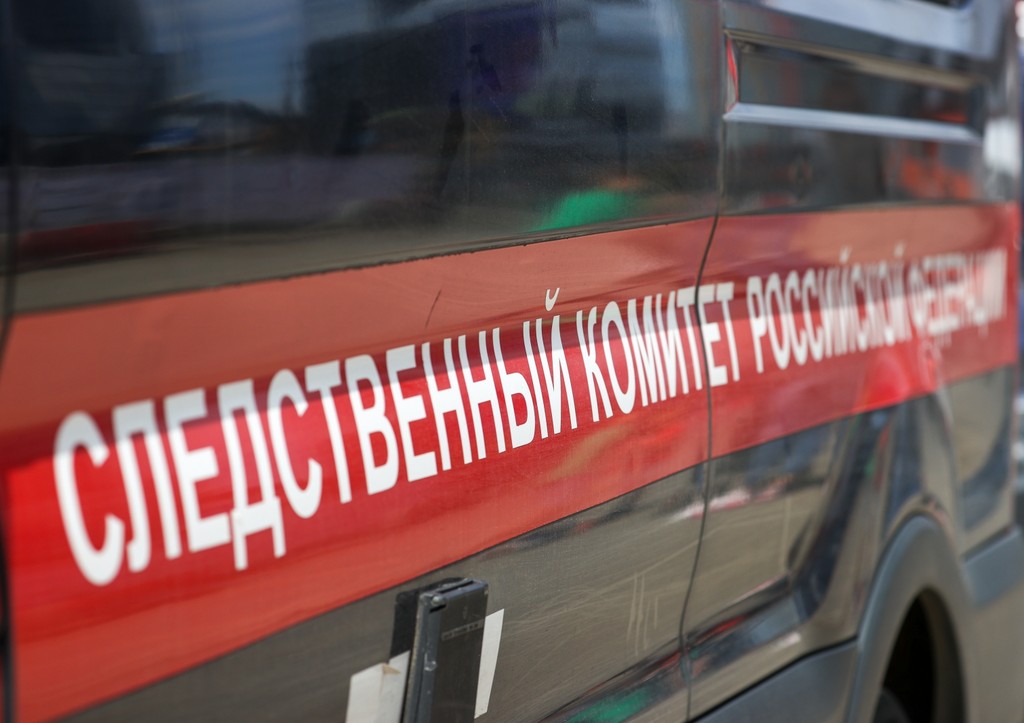 Часть черепа обнаружили на помойке в Санкт-Петербурге