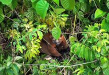 37b412f9-feb4-46b5-b97d-5e9241d9189e-680208c3