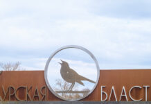 54e70fdd-2152-4d26-94a8-4159995f7137-6809052f