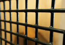 Правосудие восторжествовало в Артёме 674e49d9-f2ea-4c88-b9ee-8ffbd07cd319-6807fa54