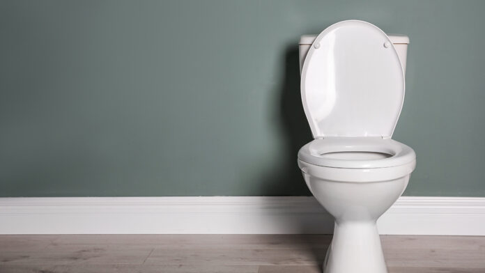 NewCeramicToiletBowlNearGreyWall