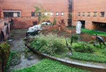 Мегантереон Адровера – второй вид саблезубых кошек из пещеры Таврида в Крыму 8214ba1e-59d0-4df9-ad71-2e8a93c64651-680bc6ee