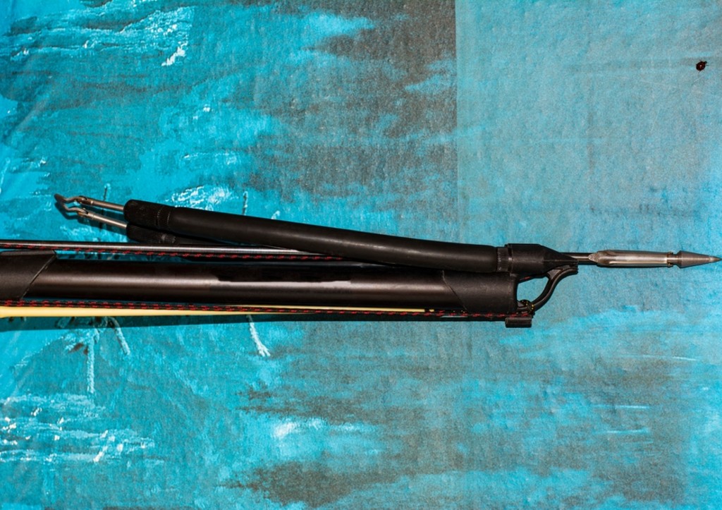 Житель США убил собственных детей, поверив в теорию заговора