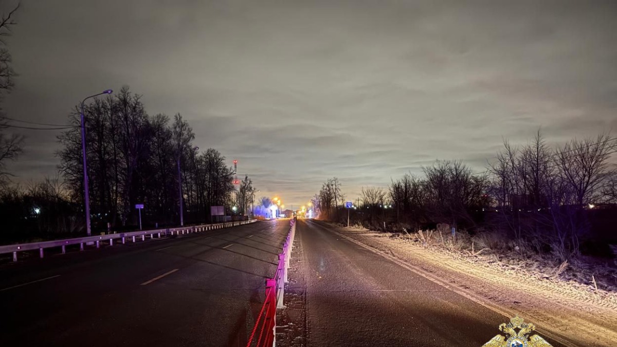 «Газель» насмерть сбила мужчину и женщину на трассе в Подмосковье