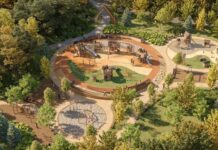 Собянин: Пойма реки Жужи превратится в современную зону отдыха и активности 9c69ca4d-fc66-477c-8259-dd71c759a56b-6802daa3