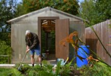 Эффективные и доступные методы защиты дачного участка от вредителей c34a0441-db55-4e3d-b5da-ed8e5ebec0b2-680ab4f8