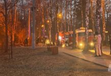 Пожар в кафе парка «Сокольники» оперативно локализуют cc0b6839-5f51-4f73-8bb8-12aecd7224c2-67fd612d