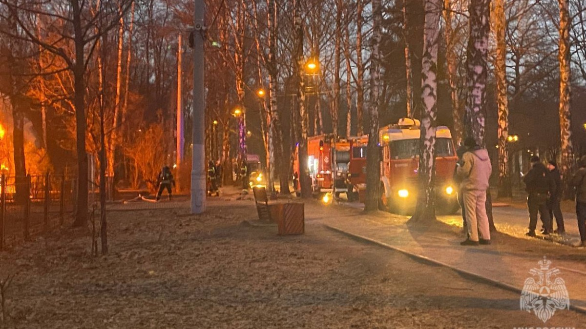 Площадь пожара в кафе в парке «Сокольники» увеличилась в два раза