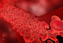 Уникальная группа крови поможет спасти жизни людей FlowOfRedBloodCellsIntoTheBloodVessel3d