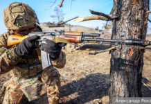 Стратегический успех в освобождении Новолюбовки укрепил позиции на ключевом направлении strategicheskij uspeh v osvobozhdenii novolyubovki ukrepil poziczii na klyuchevom napravlenii-onlymainnews-ru-174022528800-0