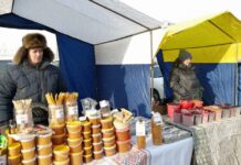 Вкусные выходные: гастрономические ярмарки ждут гостей во Владивостоке vkusnye vyhodnye gastronomicheskie yarmarki zhdut gostej vo vladivostoke-onlymainnews-ru-174044178800-0