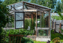 Дачники готовятся к сезону выбирают семена и рассаду с бюджетами до 10 тысяч рублей DachaTimeSummerOutsideGardeningInRussia