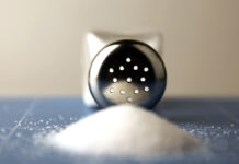 Елена Мясникова и РЭУ Плеханова предлагают оптимизировать питание школьников России SaltShakerOnWoodenTable