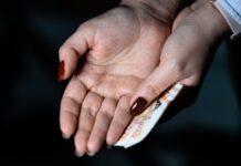 legendarnaya mandragora zavershaet epohu vo vladivostoke sohranyaya svetlye vospominaniya primorya-onlymainnews-ru-174188873200-0