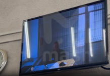 Михаил Ефремов и УДО в Алексеевском суде Белгородской области mihail efremov i udo v alekseevskom sude belgorodskoj oblasti-onlymainnews-ru-174280356600-0