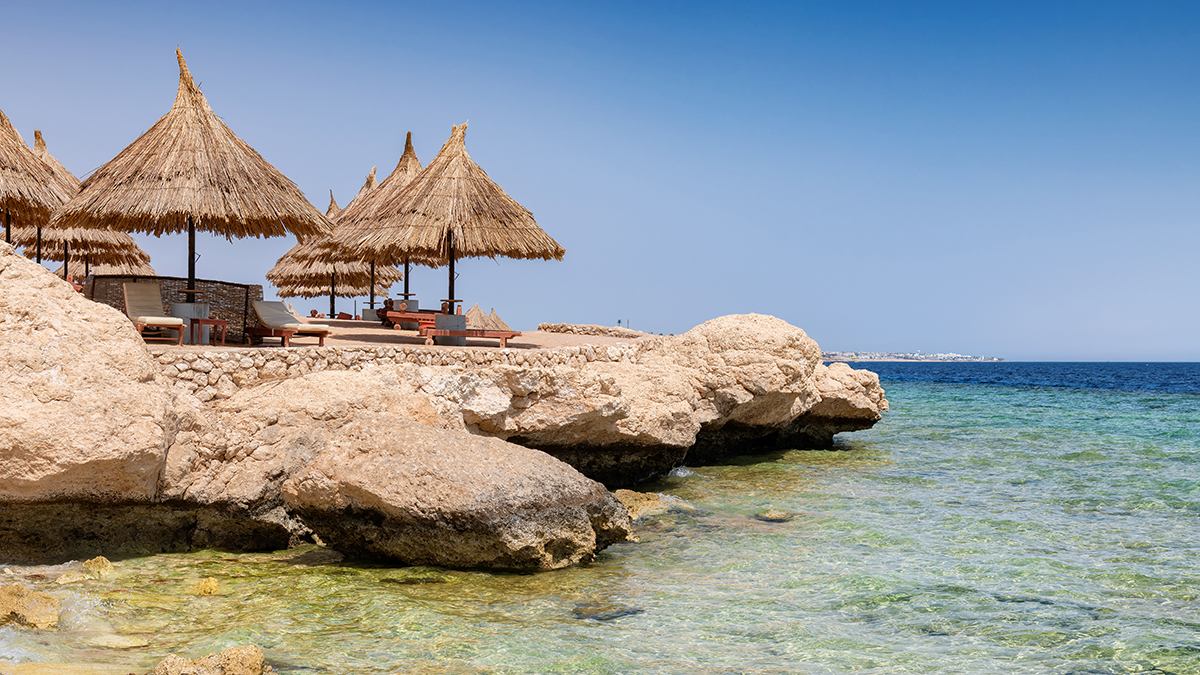 Турист чуть не погиб в Египте, подобрав смертельно ядовитую ракушку