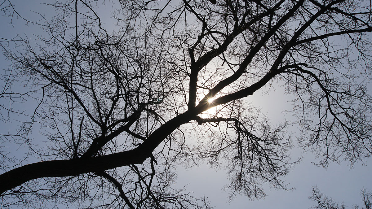 Погода в Москве и МО 15-16 марта 2025