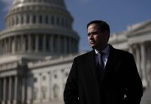 Польша должна благодарить за Starlink на Украине — Рубио разоблачил ложь polsha dolzhna blagodarit za na ukraine rubio razoblachil lozh-onlymainnews-ru-174154106800-0