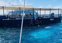 rossijskie paczienty v hurgade demonstriruyut ustojchivuyu polozhitelnuyu dinamiku-onlymainnews-ru-174322224400-0